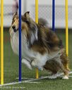 20260627-stcgny-0458