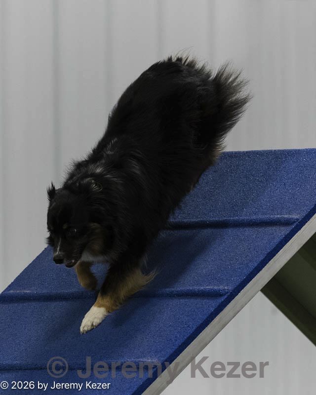 20260627-stcgny-0194.jpg