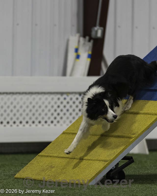 20260627-stcgny-0031.jpg