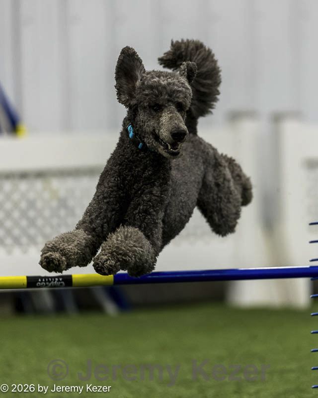 20260627-stcgny-0116.jpg