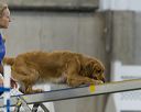 20260627-stcgny-2063