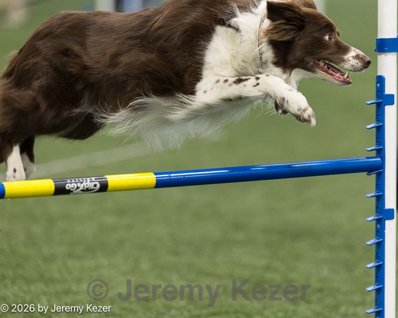 20260627-stcgny-2014.jpg