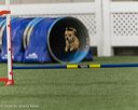 20260627-stcgny-2231