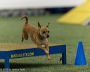20260627-stcgny-2232