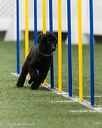 20260627-stcgny-2266