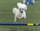 20260628-stcgny-1153