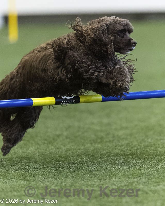 20260628-stcgny-1251.jpg