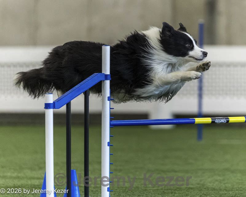 20260628-stcgny-1353.jpg