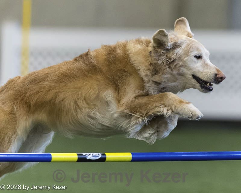 20260628-stcgny-1485.jpg