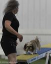 20260628-stcgny-0609