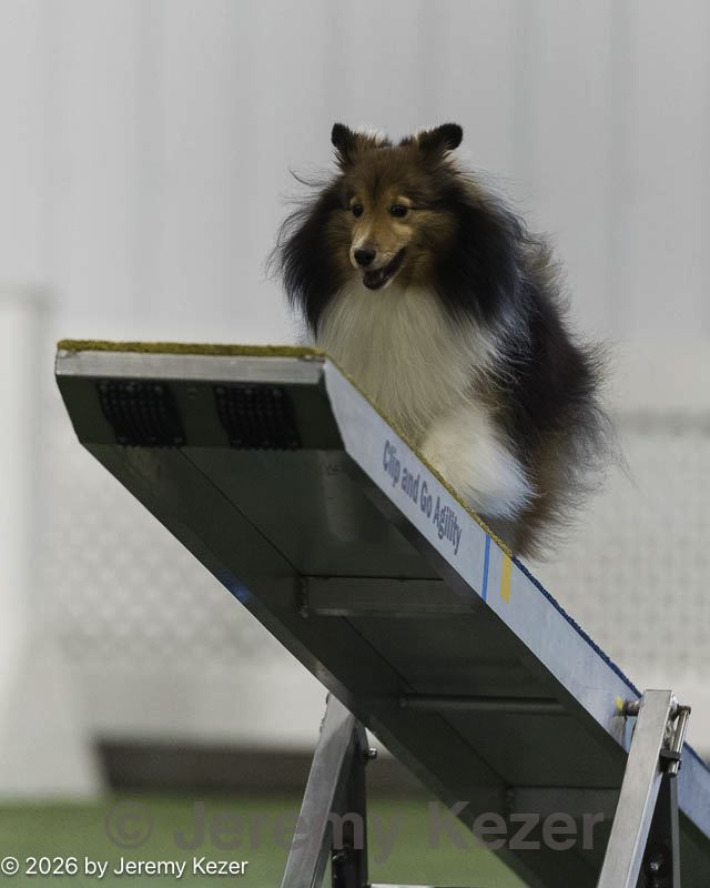 20260628-stcgny-0684.jpg