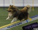 20260628-stcgny-0056