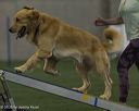 20260628-stcgny-0293