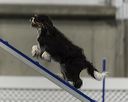 20260628-stcgny-0355