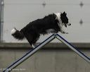 20260628-stcgny-0480