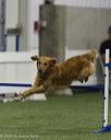 20260628-stcgny-0501