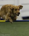 20260628-stcgny-0528