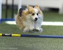 20260628-stcgny-1538