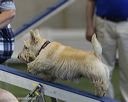 20260628-stcgny-1052