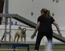 20260628-stcgny-1057