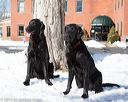 20130309-nefcrc-0026