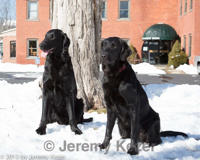 20130309-nefcrc-0026.jpg