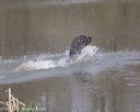 20130414-tr-0106