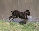 20130414-tr-0112