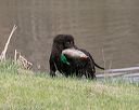 20130414-tr-0116