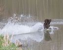 20130414-tr-0127