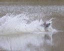 20130414-tr-0169