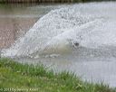 20130415-wcw-0054