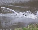 20130415-wcw-0064