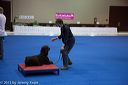 20130416-ae-0050