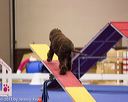 20130416-ag-0039