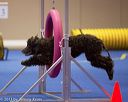20130416-ag-0048
