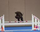 20130416-ag-0680