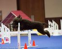 20130416-ag-0596