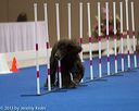 20130416-ag-0601