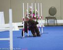 20130416-ag-0794