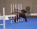 20130416-ag-0799