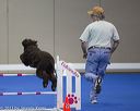 20130416-ag-0779