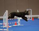 20130416-ag-0759