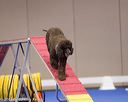 20130416-ag-0222