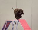 20130416-ag-0278