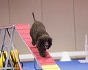 20130416-ag-0281