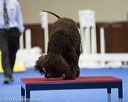 20130416-ag-0518