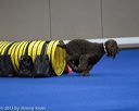 20130416-ag-0832
