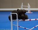 20130416-ag-0857