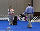 20130417-ob-0197